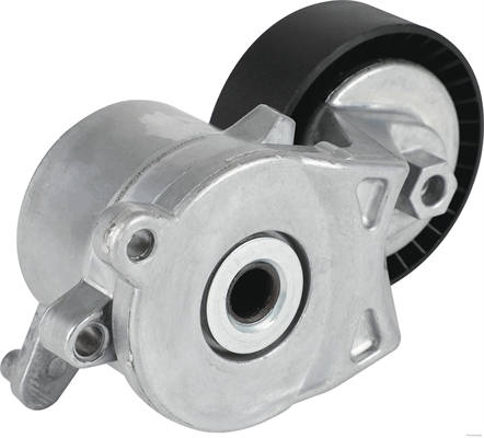 Ilustracja J1142105 HERTH+BUSS JAKOPARTS napinacz paska klinowego wielorowkowego