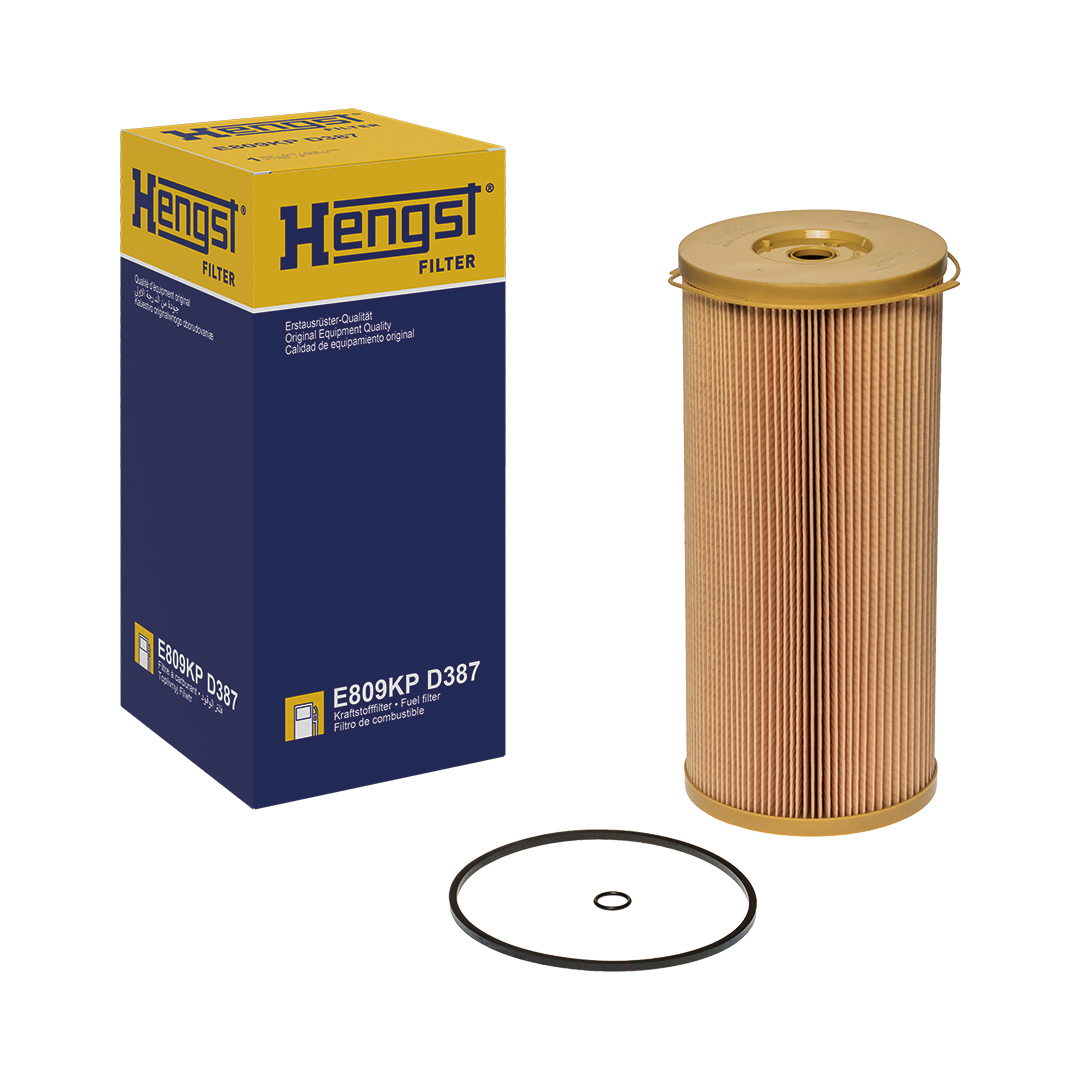 Ilustracja E809KP D387 HENGST FILTER filtr paliwa
