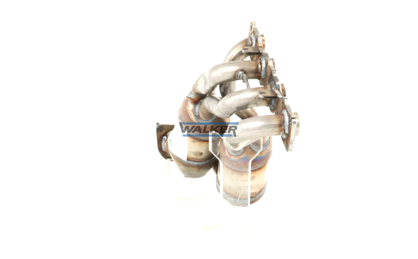 Ilustracja 28716 WALKER katalizator