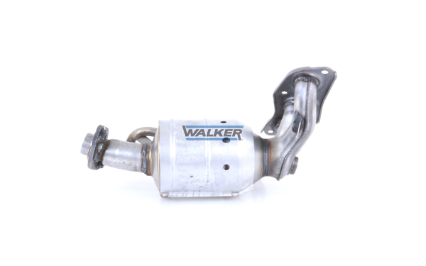 Ilustracja 28759 WALKER katalizator