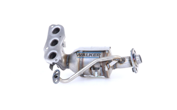 Ilustracja 28759 WALKER katalizator