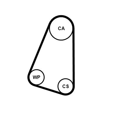 Ilustracja CT504WP1 CONTINENTAL CTAM pompa wody + zestaw paska rozrządu
