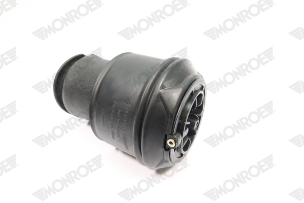 Ilustracja ASP007 MONROE poduszka powietrzna, zawieszenie