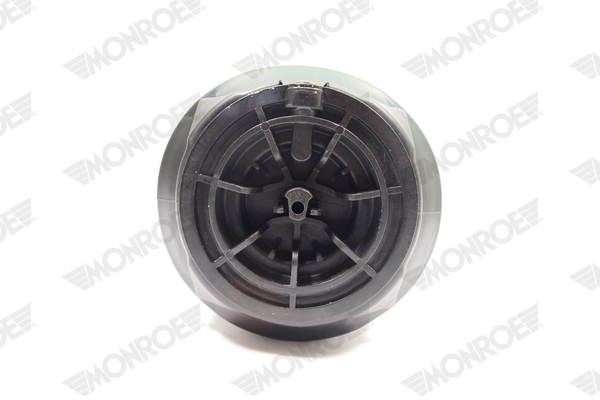 Ilustracja ASP007 MONROE poduszka powietrzna, zawieszenie