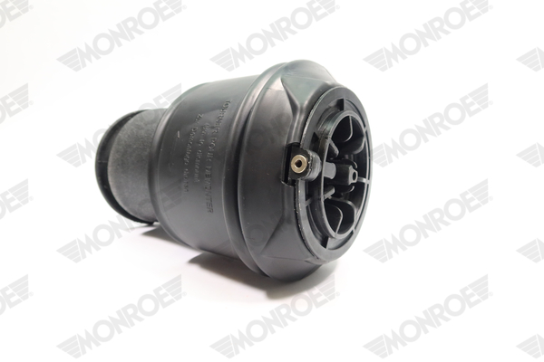 Ilustracja ASP007 MONROE poduszka powietrzna, zawieszenie