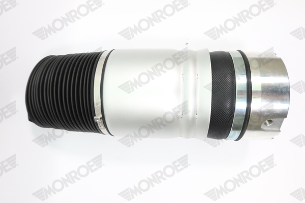 Ilustracja ASP004 MONROE poduszka powietrzna, zawieszenie