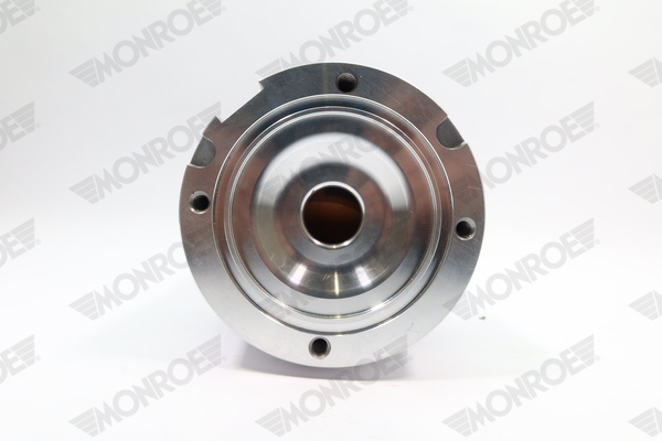 Ilustracja ASP004 MONROE poduszka powietrzna, zawieszenie