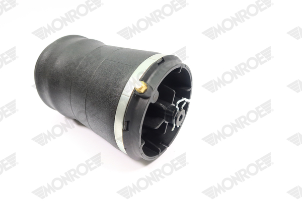 Ilustracja ASP006 MONROE poduszka powietrzna, zawieszenie