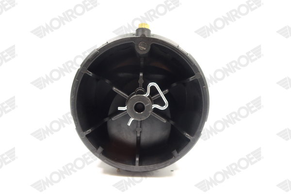 Ilustracja ASP006 MONROE poduszka powietrzna, zawieszenie