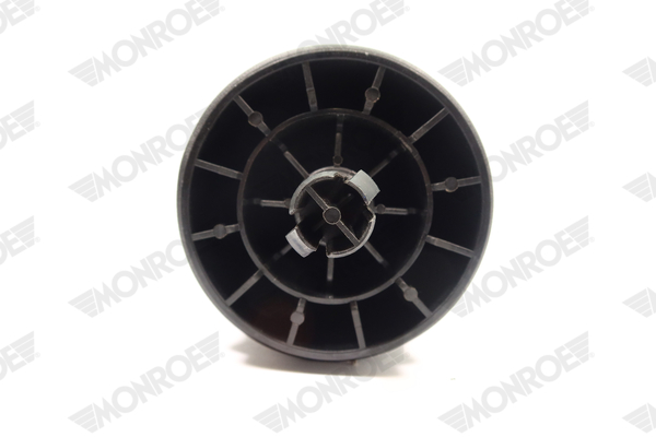 Ilustracja ASP006 MONROE poduszka powietrzna, zawieszenie