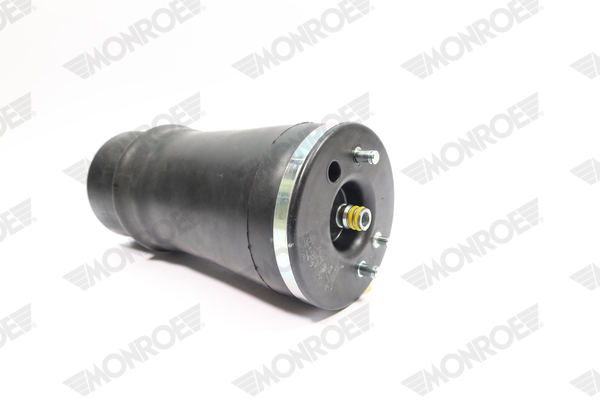 Ilustracja ASP013 MONROE poduszka powietrzna, zawieszenie