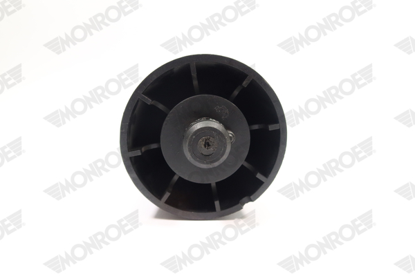 Ilustracja ASP013 MONROE poduszka powietrzna, zawieszenie