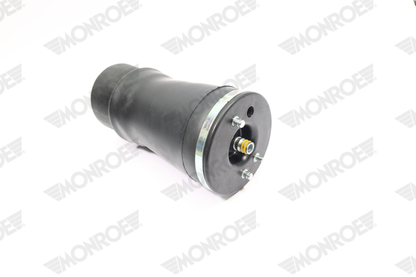 Ilustracja ASP011 MONROE poduszka powietrzna, zawieszenie