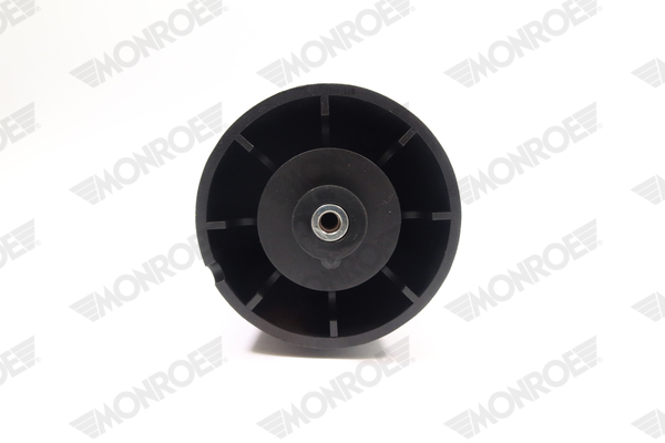 Ilustracja ASP011 MONROE poduszka powietrzna, zawieszenie