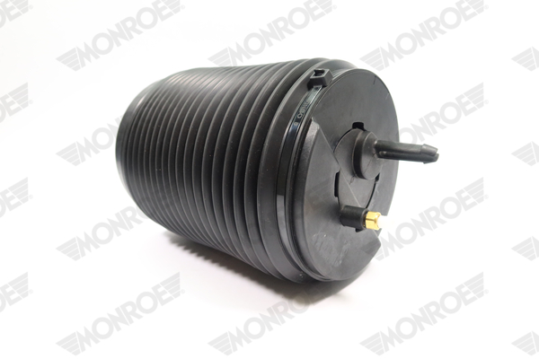 Ilustracja ASP017 MONROE poduszka powietrzna, zawieszenie