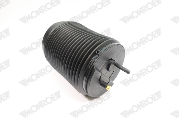 Ilustracja ASP017 MONROE poduszka powietrzna, zawieszenie