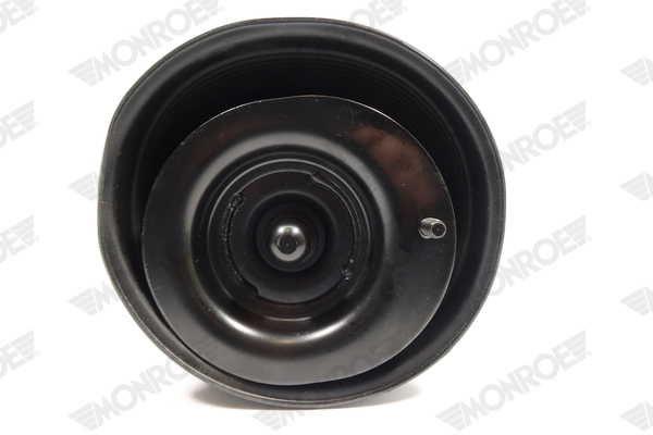 Ilustracja ASP023 MONROE poduszka powietrzna, zawieszenie