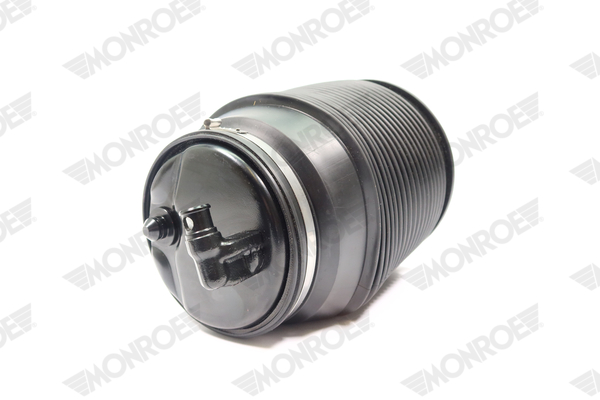 Ilustracja ASP020 MONROE poduszka powietrzna, zawieszenie