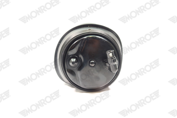 Ilustracja ASP020 MONROE poduszka powietrzna, zawieszenie