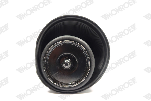 Ilustracja ASP020 MONROE poduszka powietrzna, zawieszenie