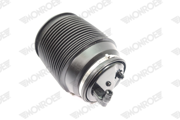 Ilustracja ASP021 MONROE poduszka powietrzna, zawieszenie