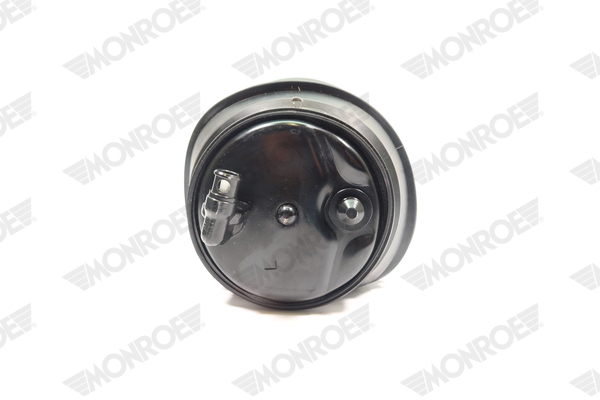 Ilustracja ASP021 MONROE poduszka powietrzna, zawieszenie