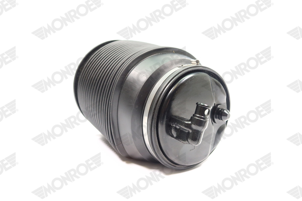 Ilustracja ASP021 MONROE poduszka powietrzna, zawieszenie