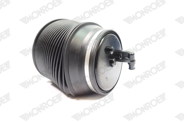 Ilustracja ASP022 MONROE poduszka powietrzna, zawieszenie