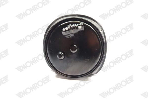 Ilustracja ASP022 MONROE poduszka powietrzna, zawieszenie