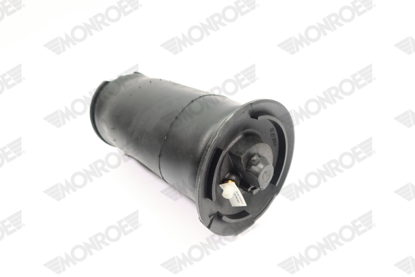 Ilustracja ASP027 MONROE poduszka powietrzna, zawieszenie