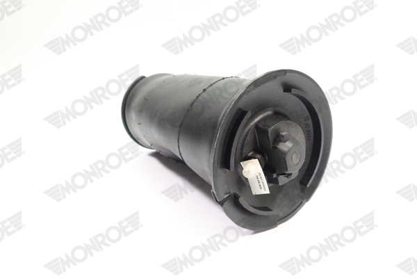 Ilustracja ASP027 MONROE poduszka powietrzna, zawieszenie