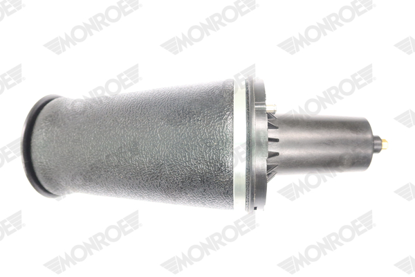 Ilustracja ASP024 MONROE poduszka powietrzna, zawieszenie