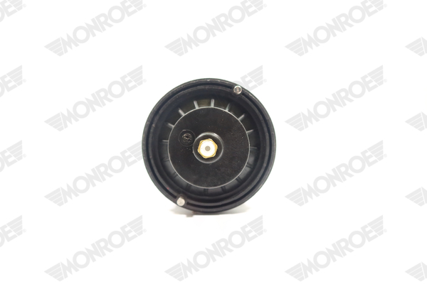 Ilustracja ASP024 MONROE poduszka powietrzna, zawieszenie