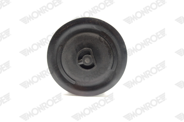 Ilustracja ASP024 MONROE poduszka powietrzna, zawieszenie