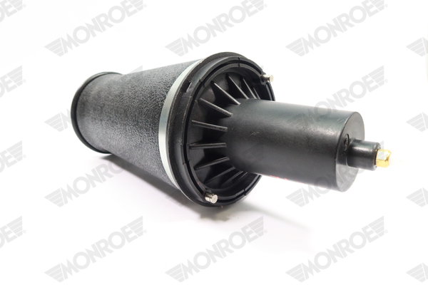 Ilustracja ASP024 MONROE poduszka powietrzna, zawieszenie