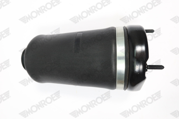 Ilustracja ASP025 MONROE poduszka powietrzna, zawieszenie