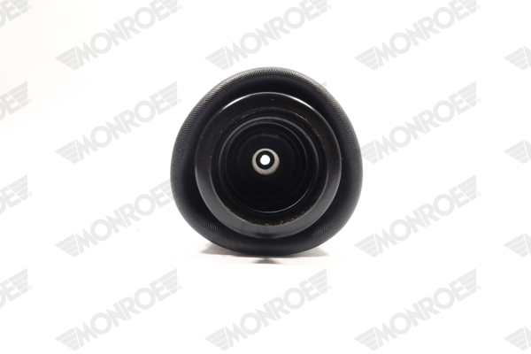 Ilustracja ASP025 MONROE poduszka powietrzna, zawieszenie