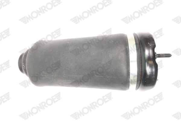 Ilustracja ASP026 MONROE poduszka powietrzna, zawieszenie