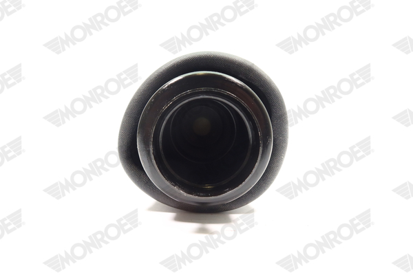 Ilustracja ASP026 MONROE poduszka powietrzna, zawieszenie