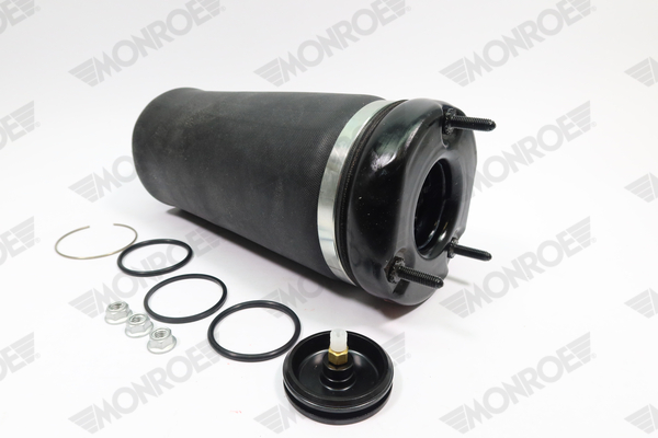 Ilustracja ASP026 MONROE poduszka powietrzna, zawieszenie