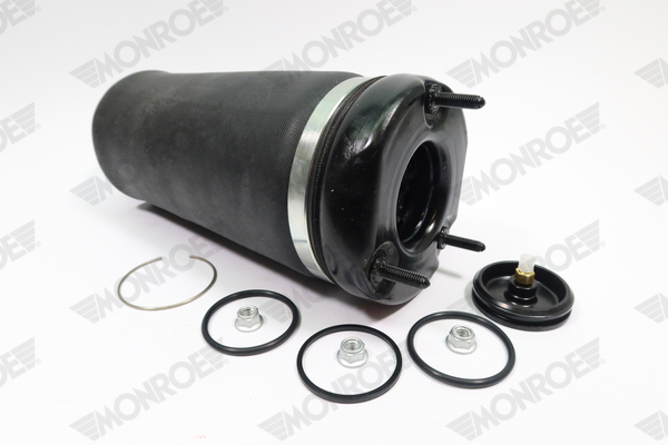 Ilustracja ASP026 MONROE poduszka powietrzna, zawieszenie