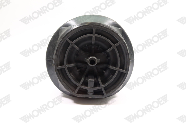 Ilustracja ASP029 MONROE poduszka powietrzna, zawieszenie