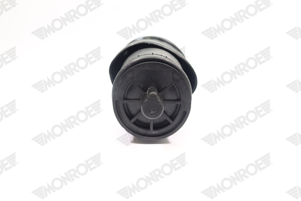 Ilustracja ASP029 MONROE poduszka powietrzna, zawieszenie