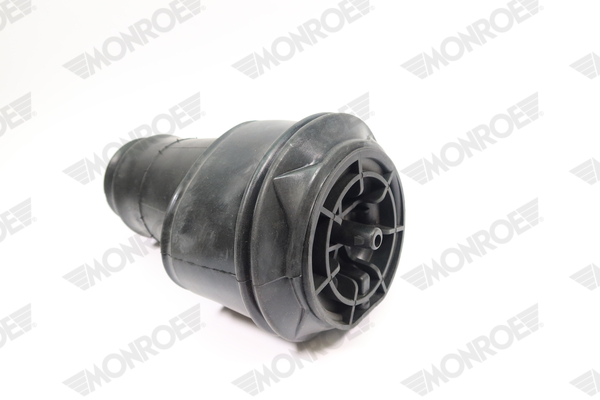 Ilustracja ASP029 MONROE poduszka powietrzna, zawieszenie