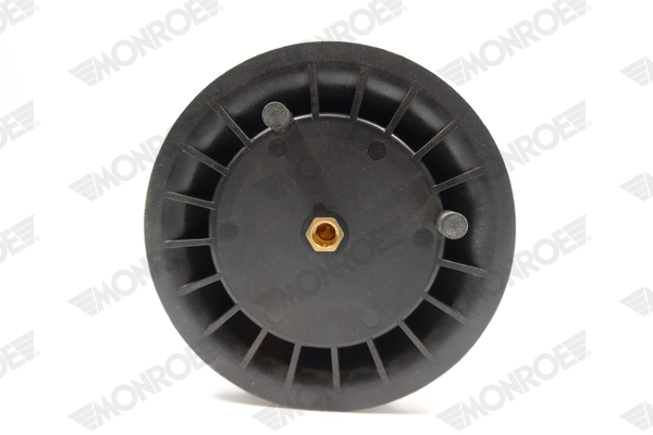 Ilustracja ASP030 MONROE poduszka powietrzna, zawieszenie