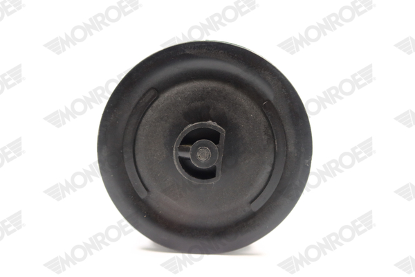 Ilustracja ASP037 MONROE poduszka powietrzna, zawieszenie