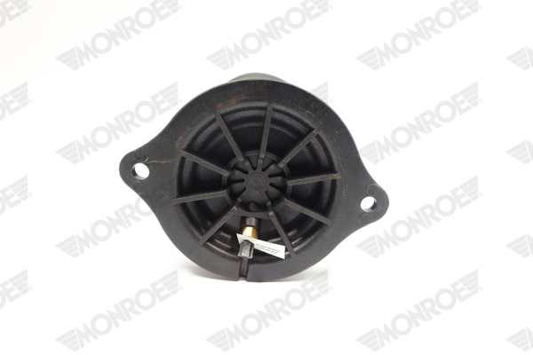 Ilustracja ASP034 MONROE poduszka powietrzna, zawieszenie