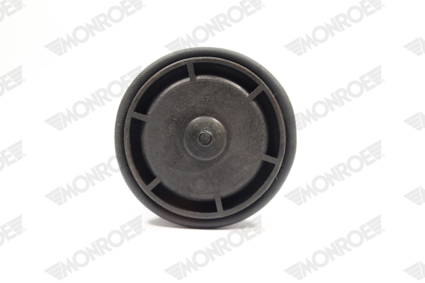 Ilustracja ASP034 MONROE poduszka powietrzna, zawieszenie