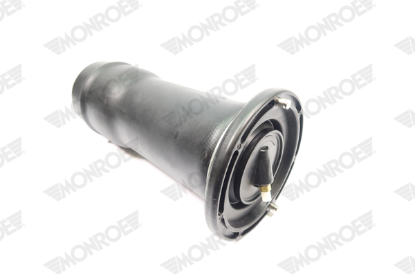 Ilustracja ASP036 MONROE poduszka powietrzna, zawieszenie