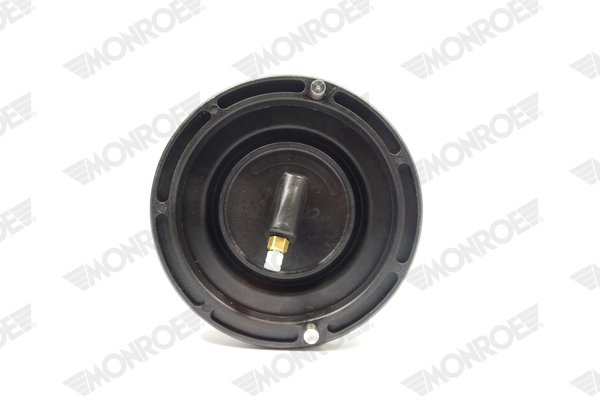 Ilustracja ASP036 MONROE poduszka powietrzna, zawieszenie